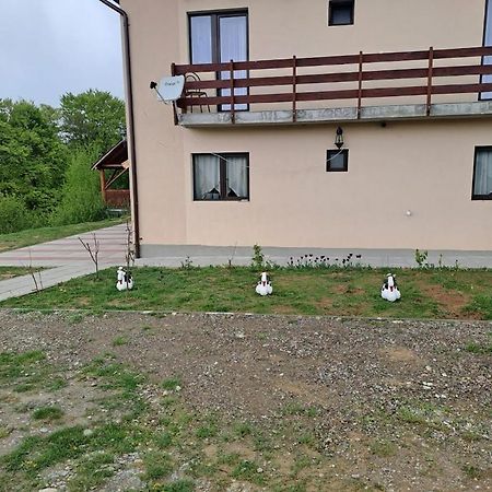 Conacul Elenei Villa Poiana Mărului Dış mekan fotoğraf