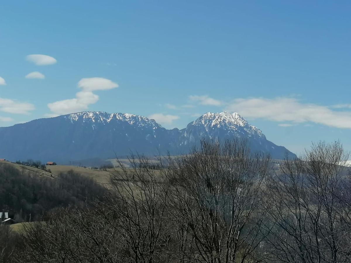 Conacul Elenei Villa Poiana Mărului Dış mekan fotoğraf