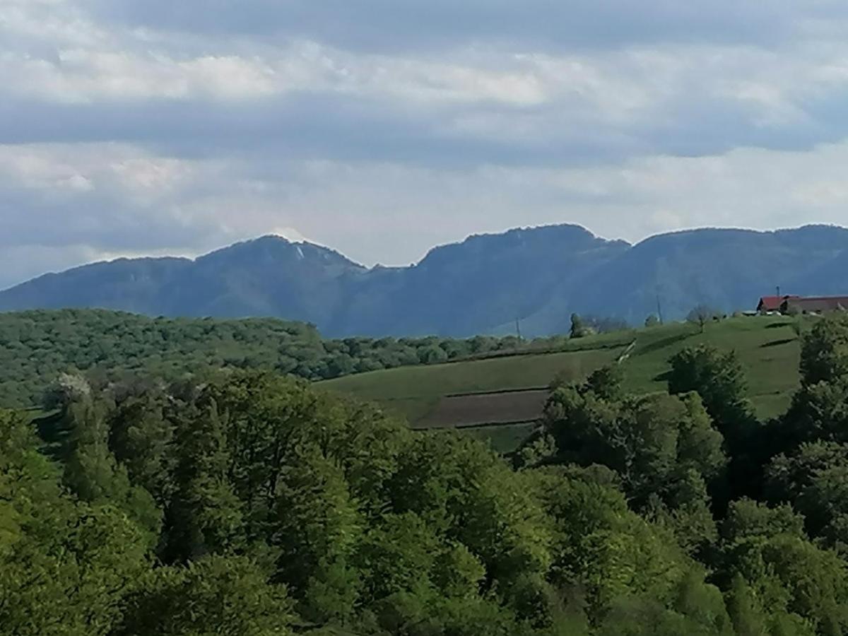 Conacul Elenei Villa Poiana Mărului Dış mekan fotoğraf