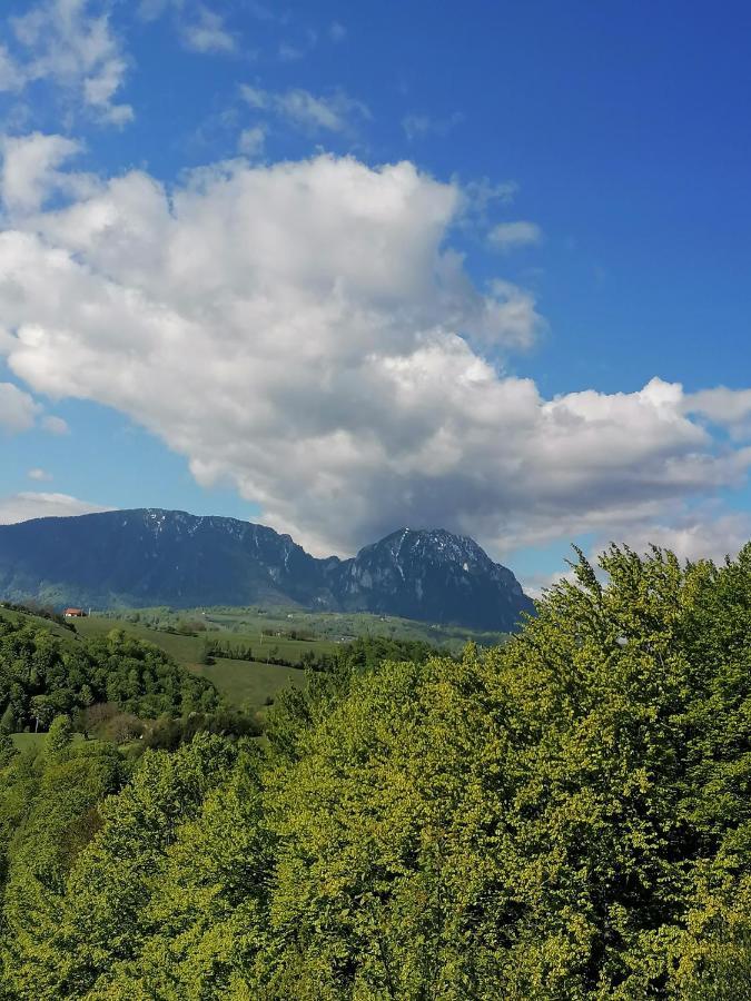 Conacul Elenei Villa Poiana Mărului Dış mekan fotoğraf