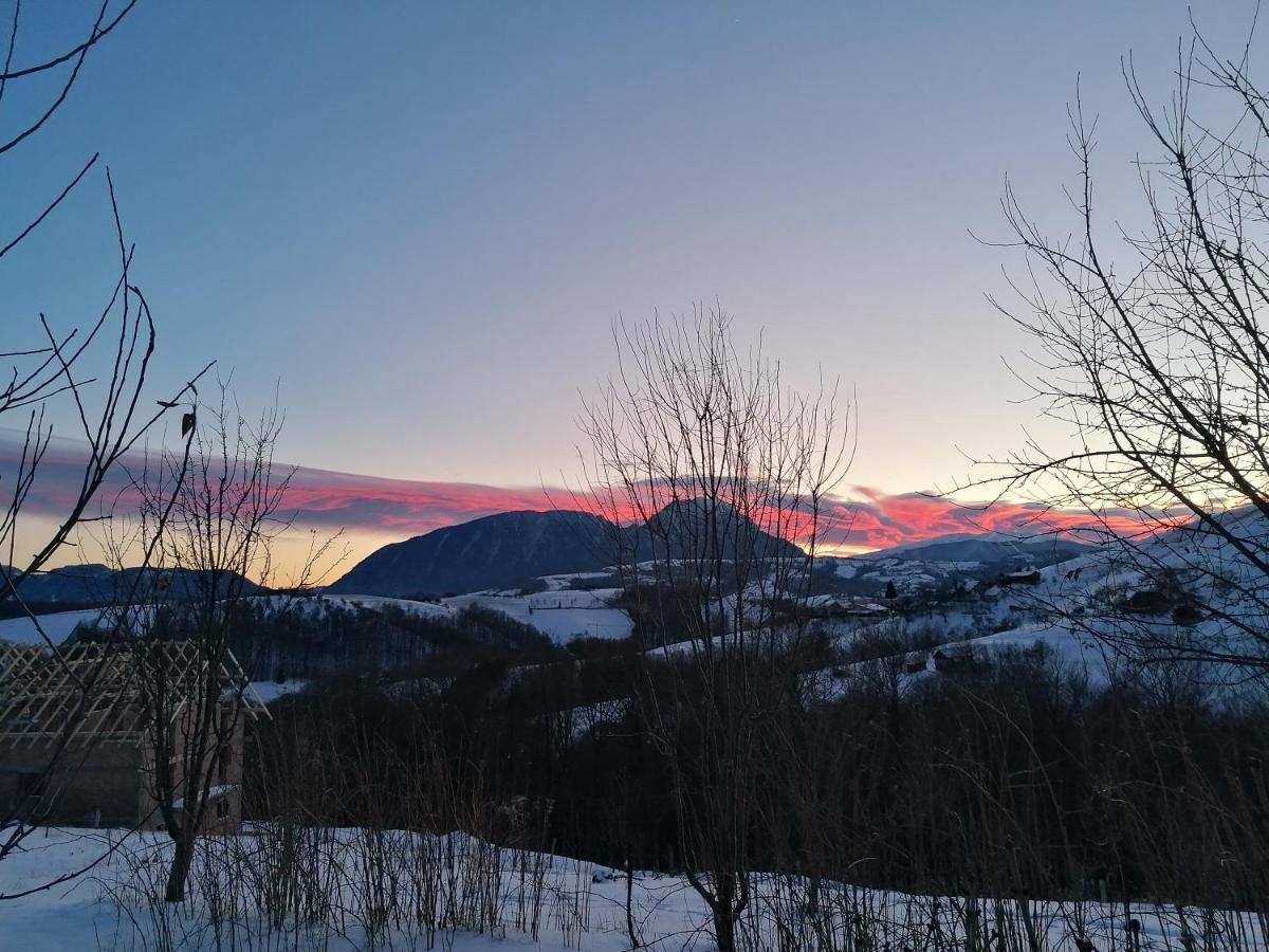 Conacul Elenei Villa Poiana Mărului Dış mekan fotoğraf