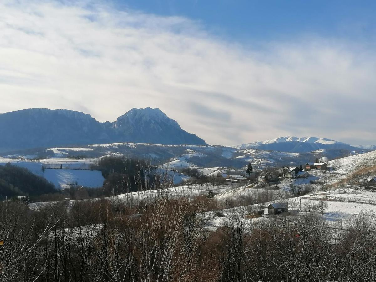 Conacul Elenei Villa Poiana Mărului Dış mekan fotoğraf