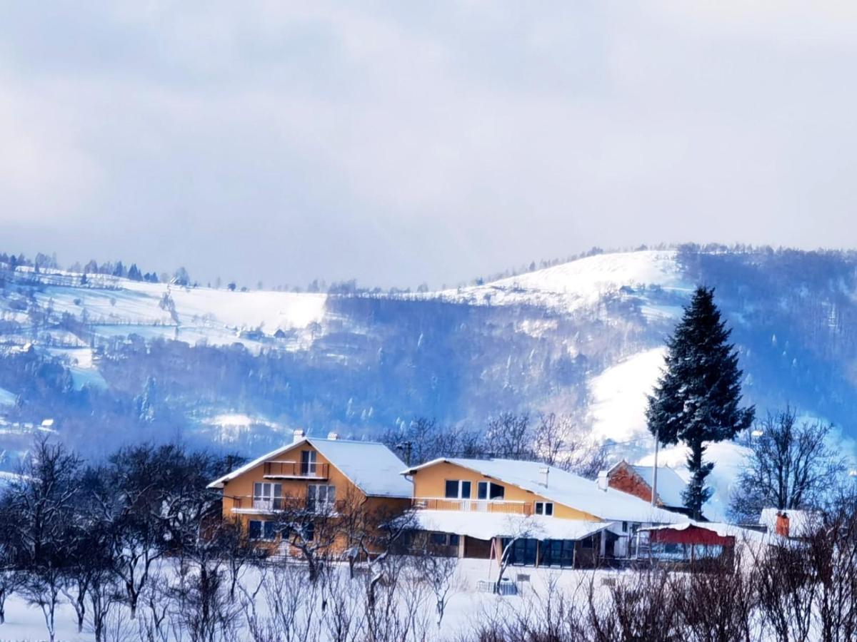 Conacul Elenei Villa Poiana Mărului Dış mekan fotoğraf
