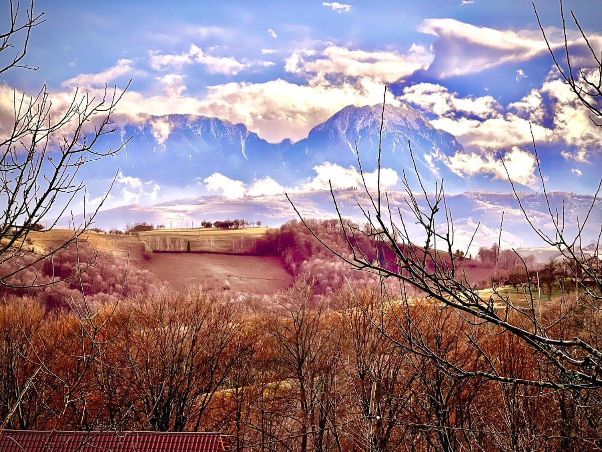 Conacul Elenei Villa Poiana Mărului Dış mekan fotoğraf