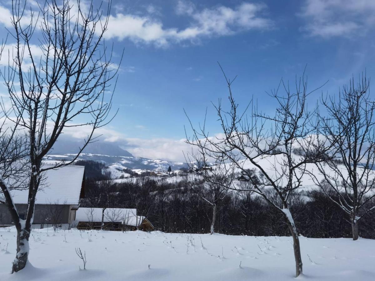Conacul Elenei Villa Poiana Mărului Dış mekan fotoğraf