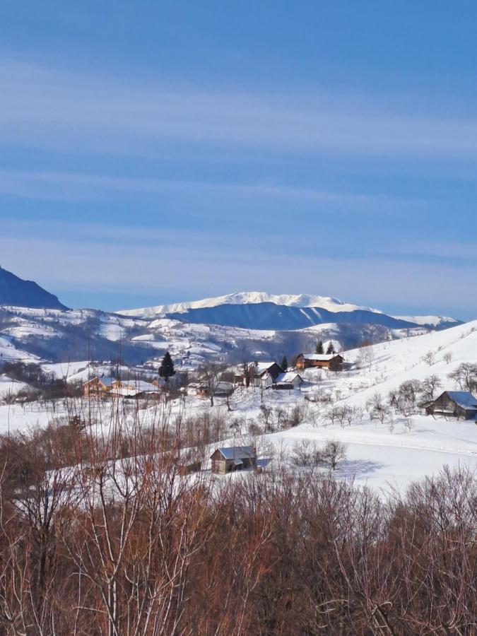 Conacul Elenei Villa Poiana Mărului Dış mekan fotoğraf
