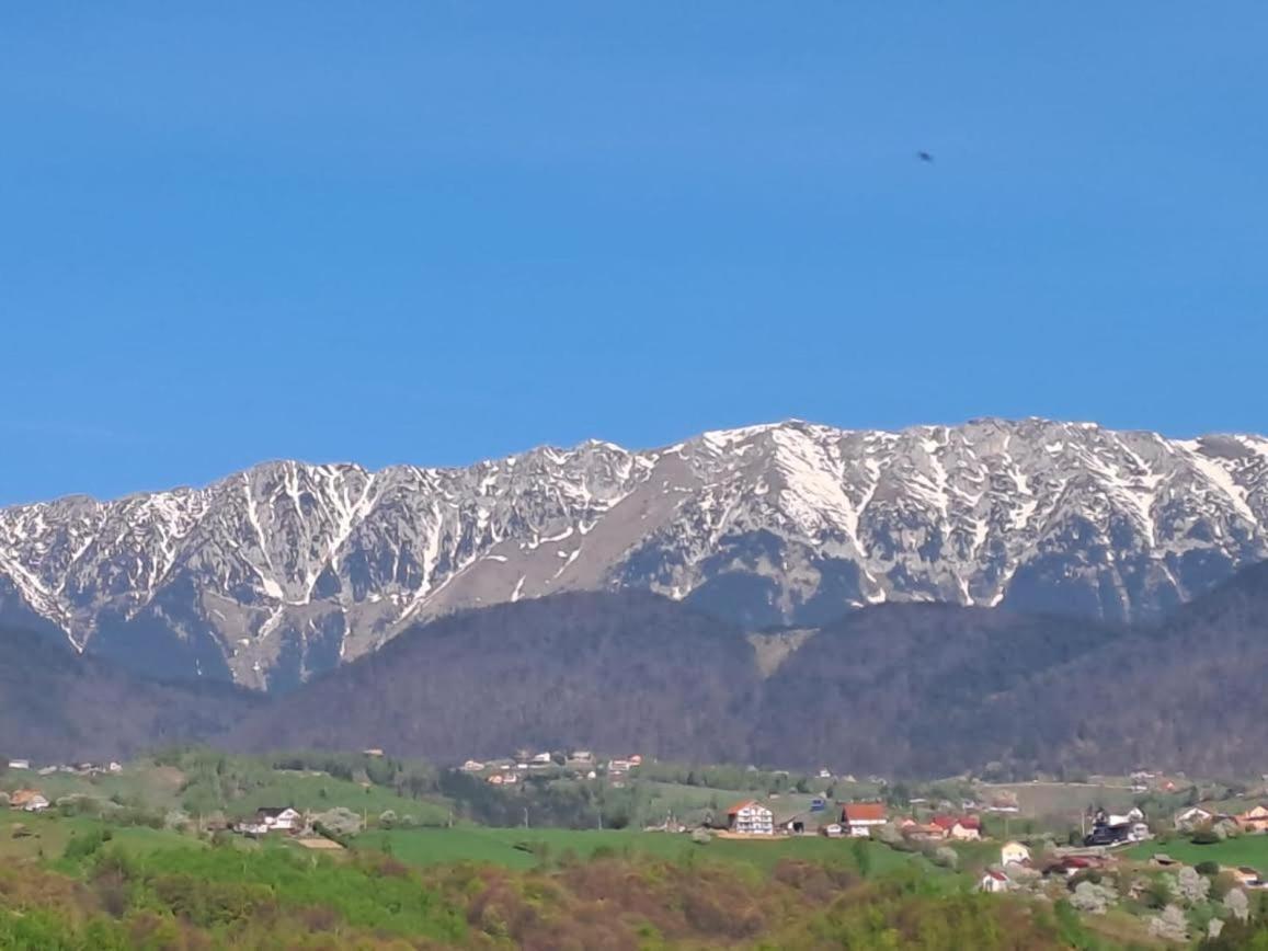 Conacul Elenei Villa Poiana Mărului Dış mekan fotoğraf
