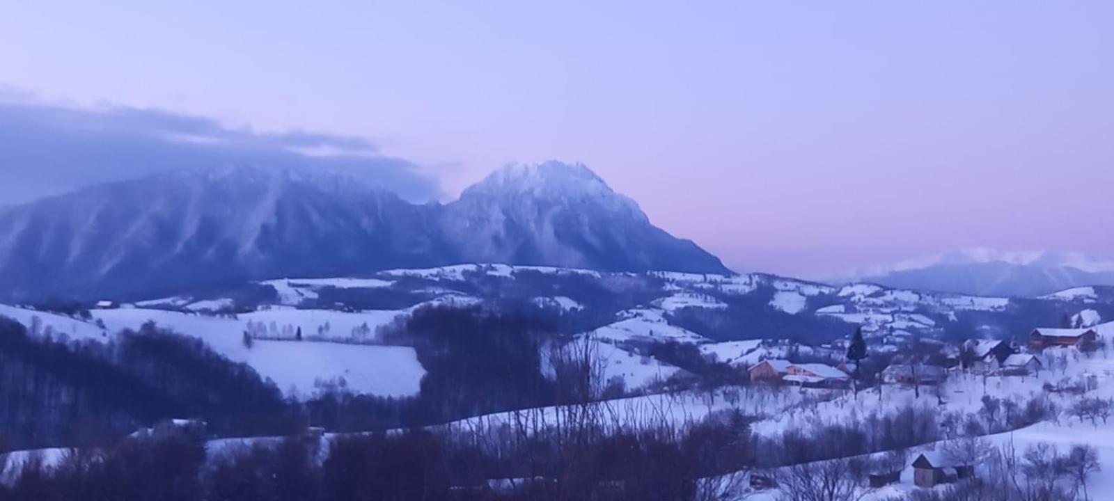 Conacul Elenei Villa Poiana Mărului Oda fotoğraf